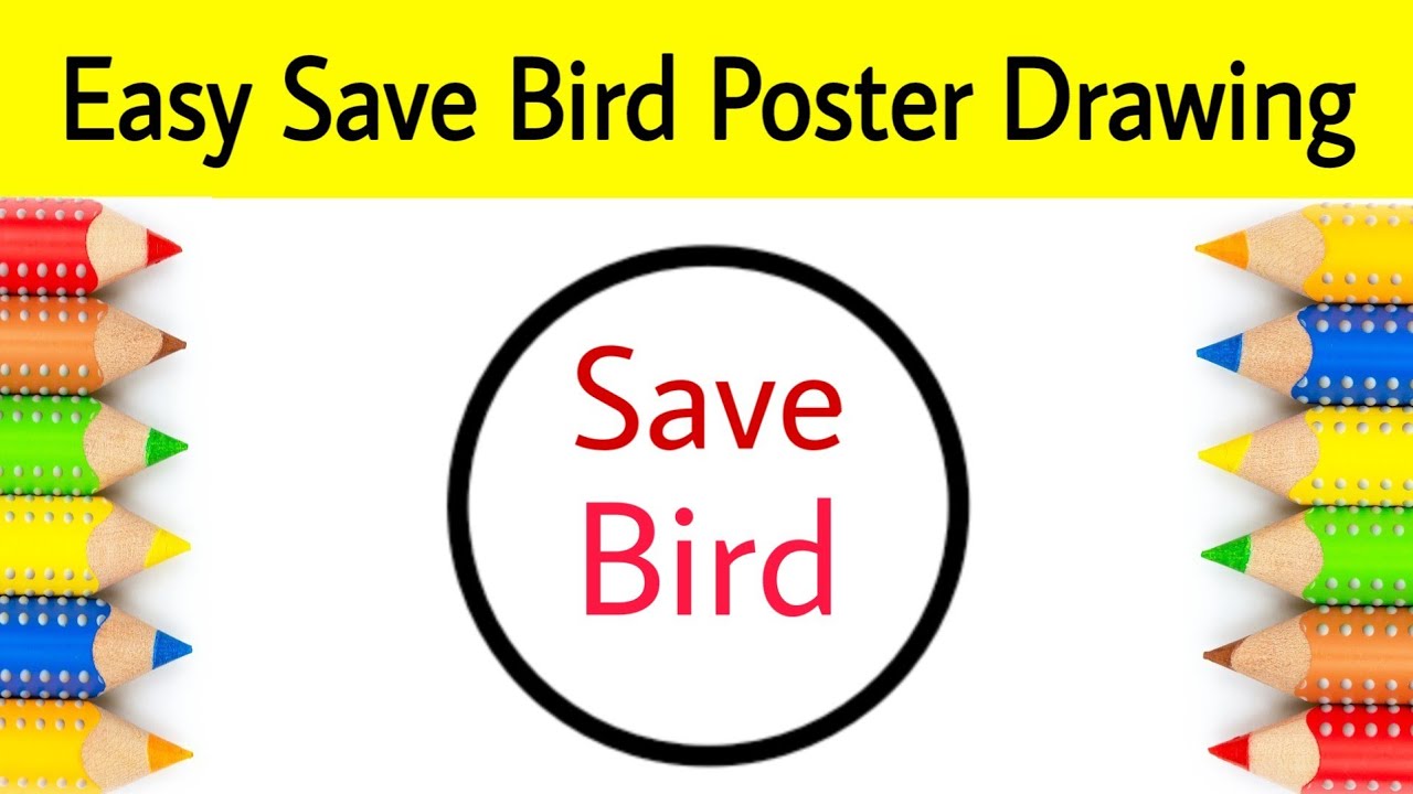 Save Bird Easy Poster Drawing | how to Draw save bird Drawing for beginners | AP Drawing