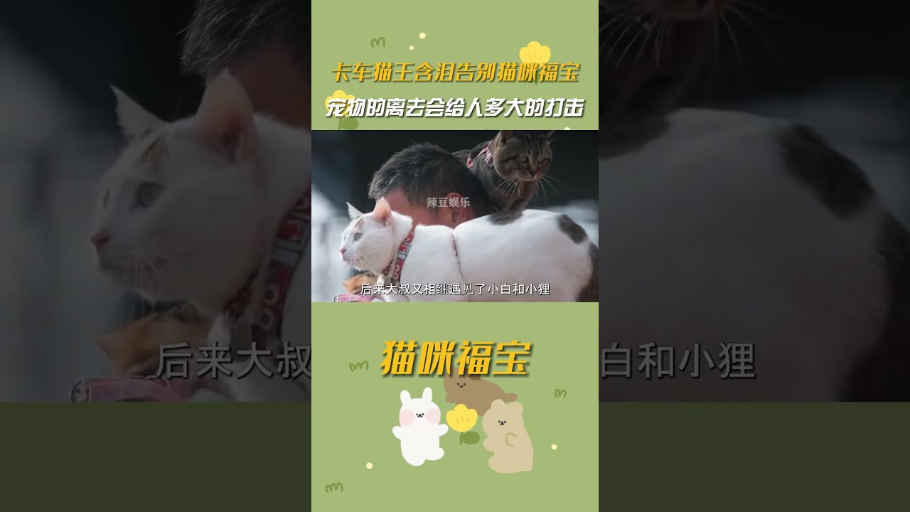 卡车猫王含泪告别猫咪福宝，宠物的离去真的会给人巨大的打击 #猫咪福宝 #热门 #卡车猫王 #内容启发搜索 #动物世界