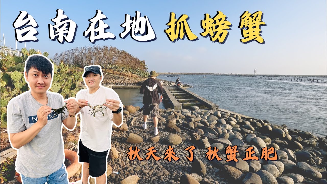 秋天來了，台南在地私密景點抓螃蟹，真的抓得到嗎？台南將軍七股海邊，還可以順路吃國聖土豆豬腳｜台南景點｜Yes100