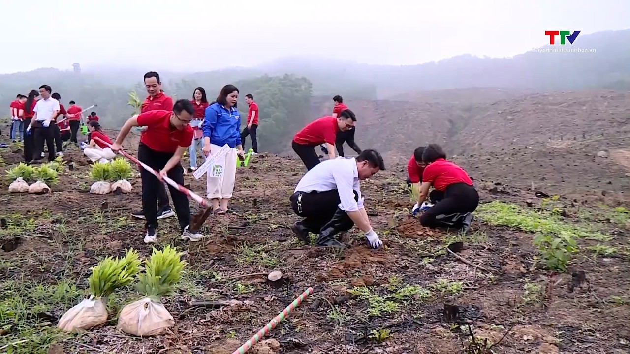 Agribank Nam Thanh Hóa tổ chức Tết trồng cây 2026| NSTH
