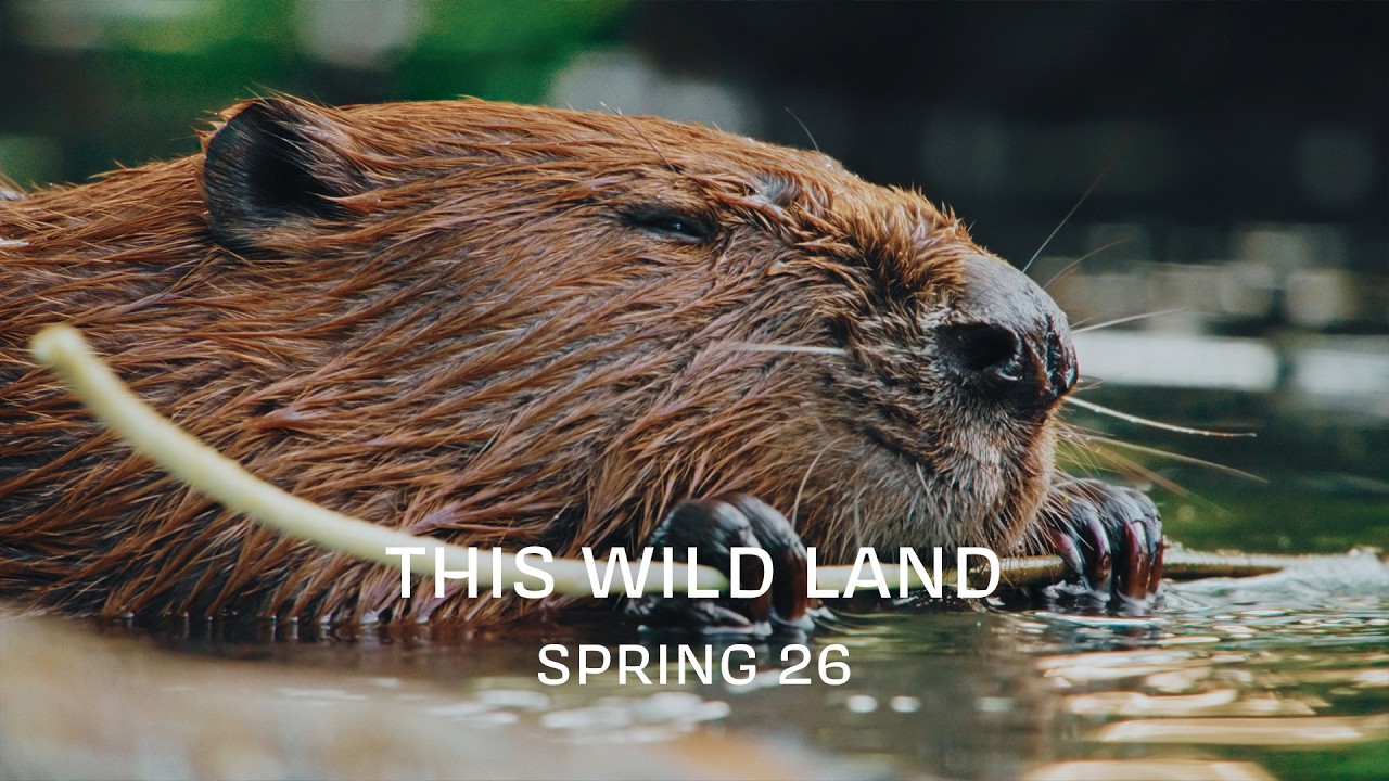 This Wild Land &ndash; Spring 26