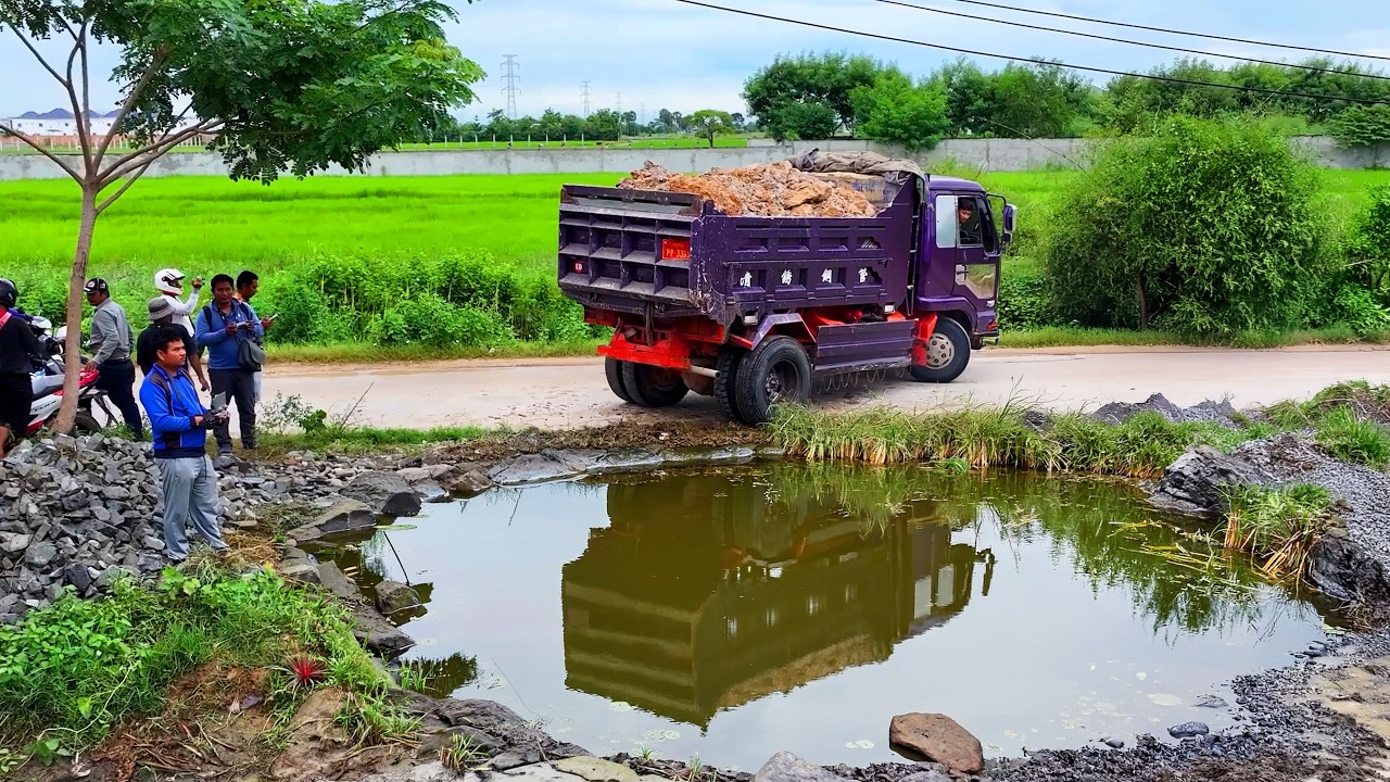 Best Incredible Project Landfill Building House ! Truck transport soil with Bulldozer push Soil