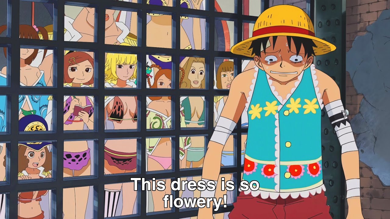 One Piece Amazon Lily Arc In 17 minutes | Recap | Best Moments