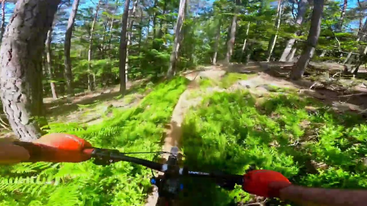 Mtb 3 Schopp Pfälzer Wald