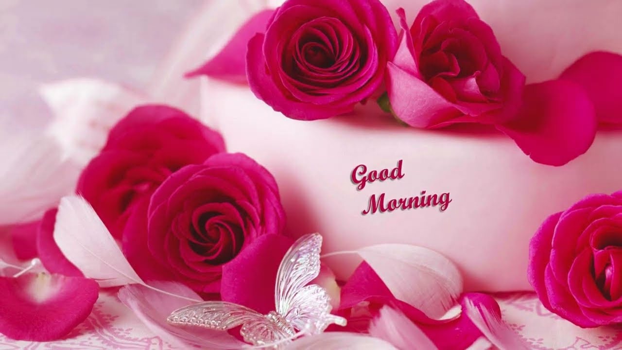 Good Morning Images, Wishes, Quotes, and Greetings