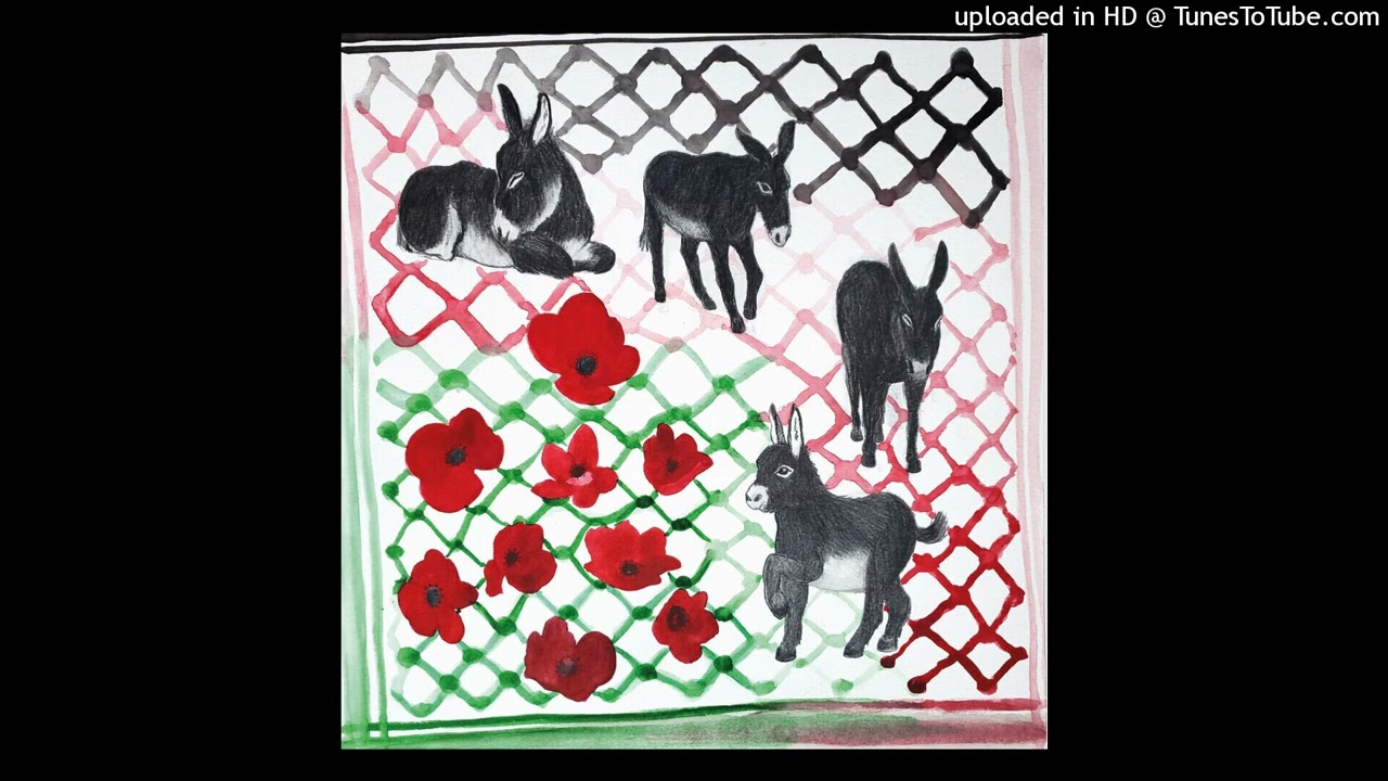 Sara Lehad - Thaveranith (*Duuu éditions, 2025)