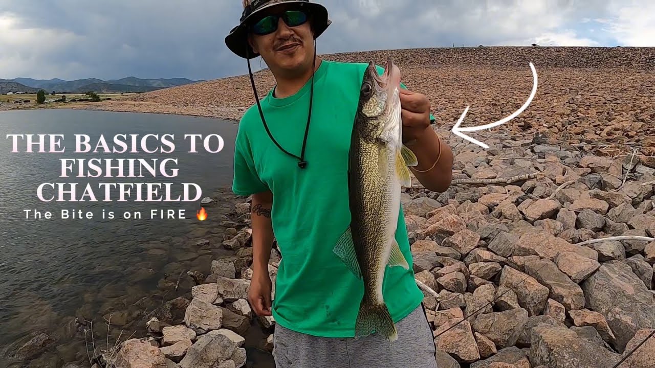 The Basics to Fishing Chatfield State Park in Colorado