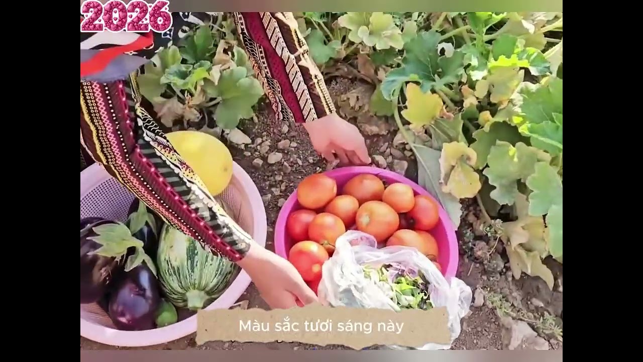 Một ngày đầy công việc của người dân iran