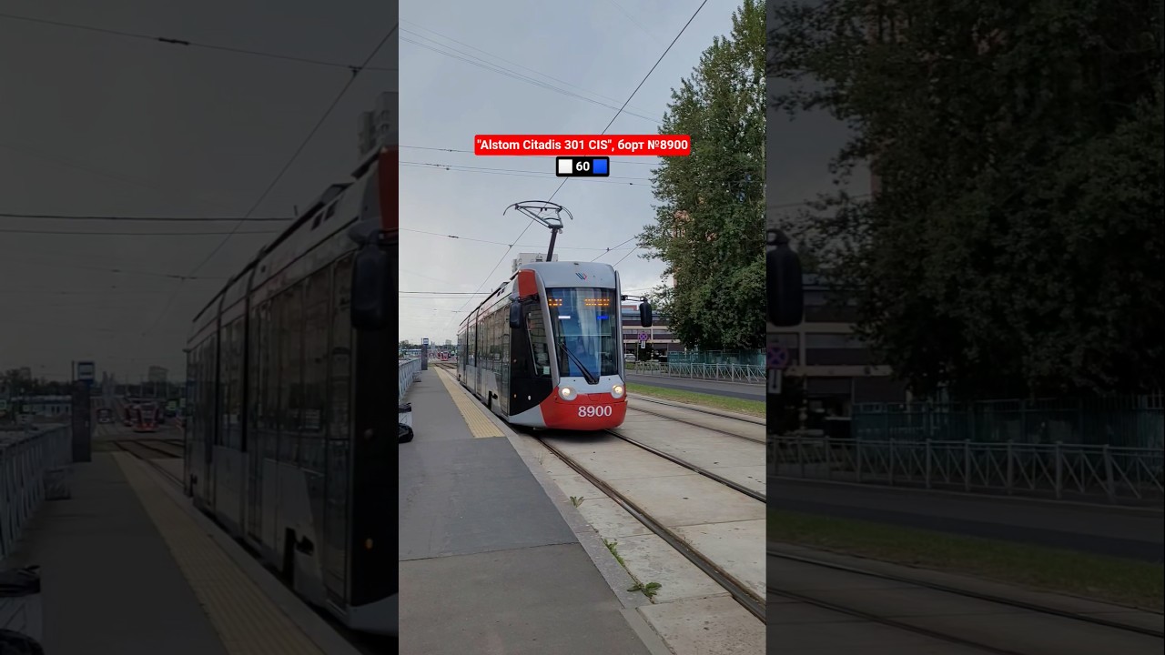 трамвай &laquo;Alstom Citadis 301 CIS&raquo;, борт №8900, маршрут 🔵60⚪️ | #трамвай, #tram, #alstom, #спб, #питер