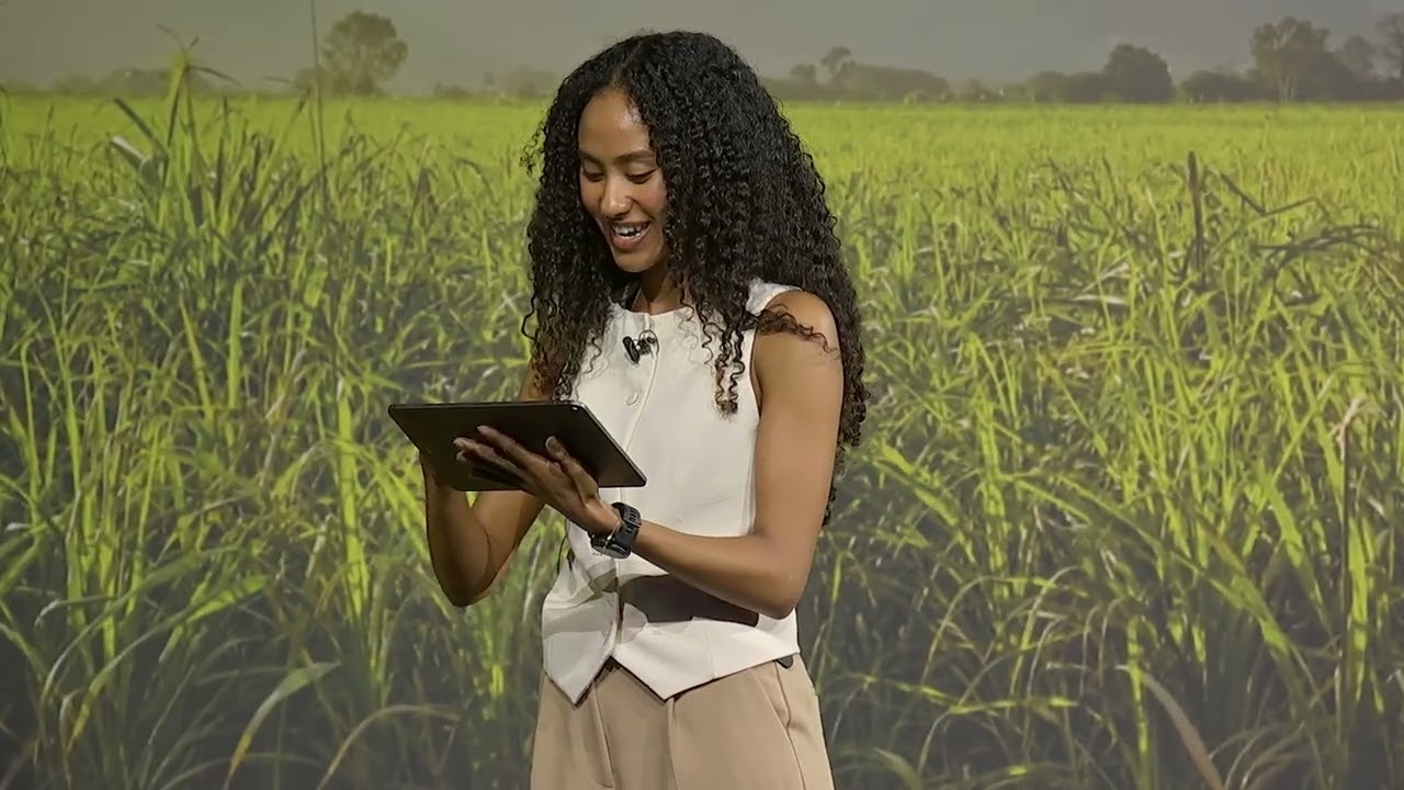 Innovation uncut: Agritech wins, fails, and the lessons learned