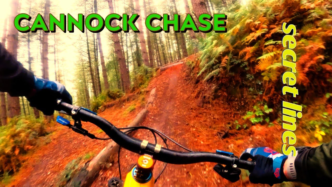 Cannock Chase MTB Madness | Hidden Trails & Jumps POV