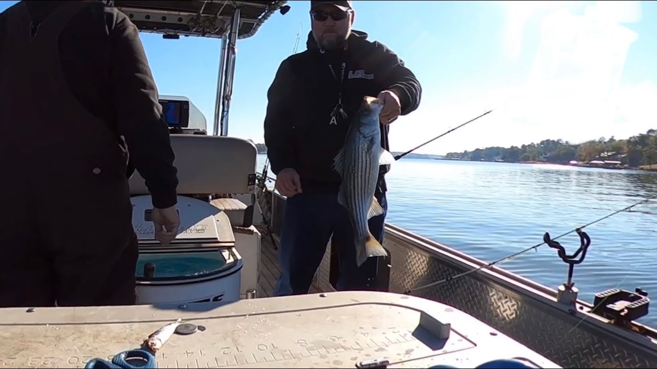 LAKE GREENWOOD STRIPER FISHING-MULTI SPECIES AND CAUGHT A DINOSAUR!