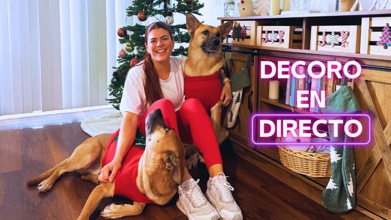 ERRORES de decoración que hacen que tu casa se vea descuidada