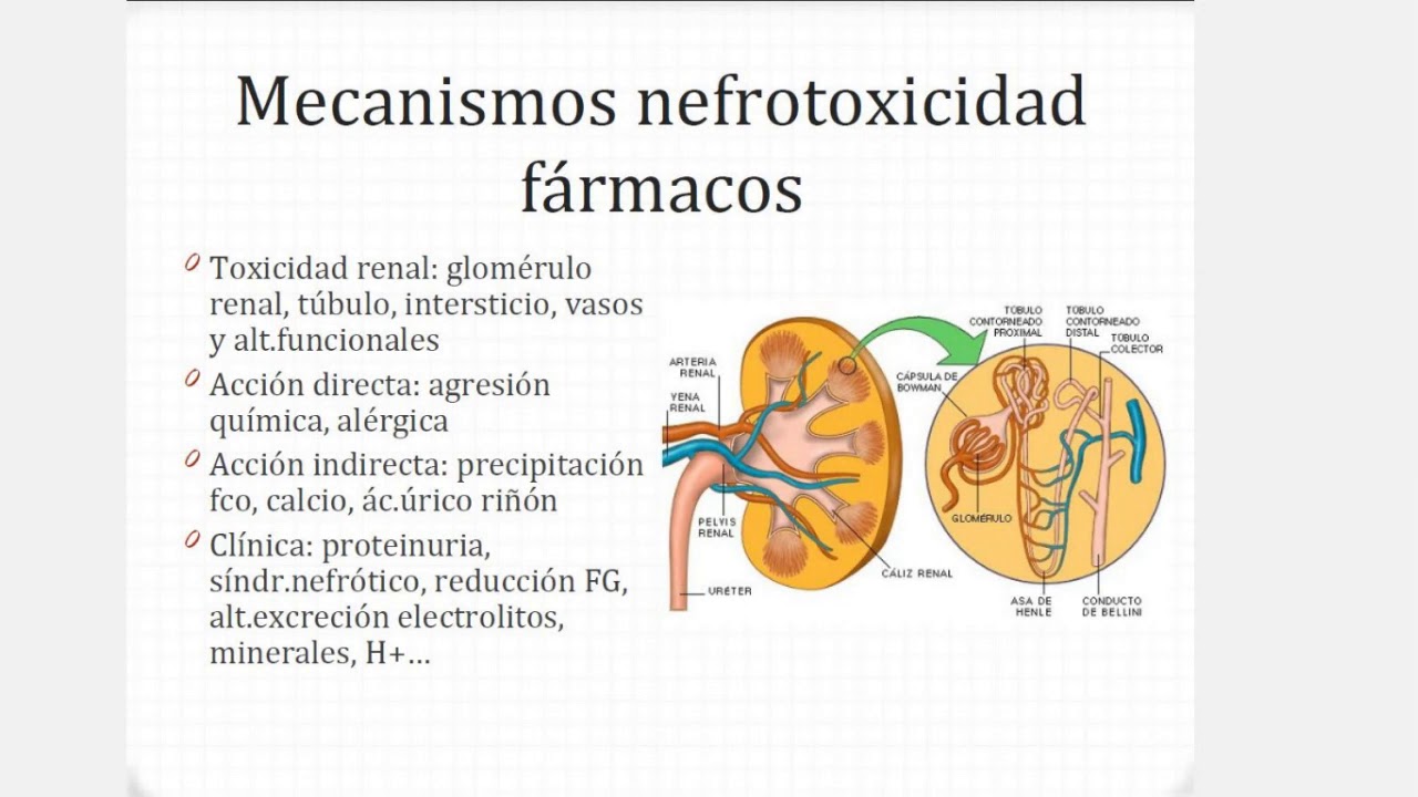MESA REDONDA - NEFROTOXICIDAD POR FARMACOS