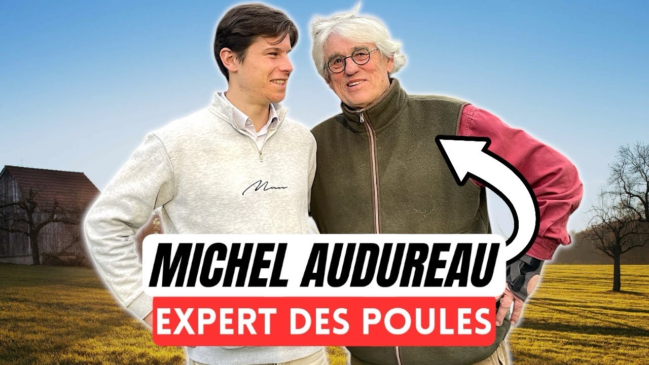 Peut-on avoir des poules dans un PETIT jardin ? Un expert répond !