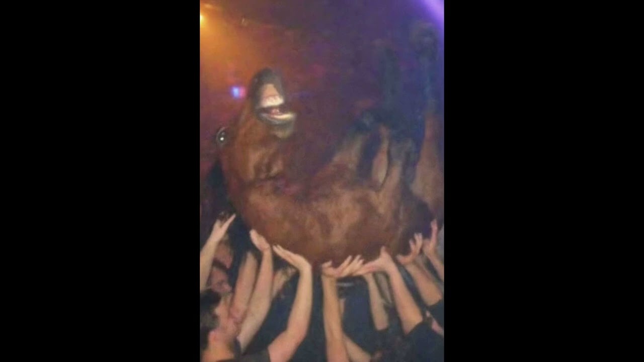 &lrm;