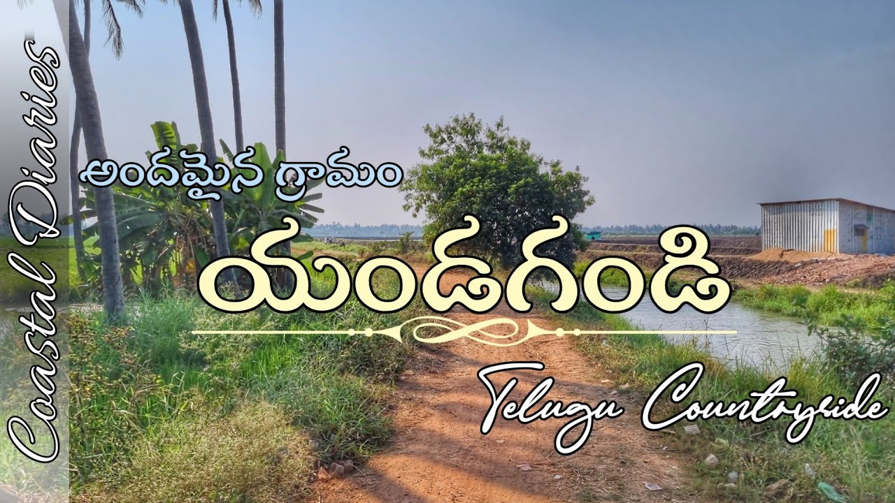 Yandagandi Village: A Window into Rural Life | Telugu Countryside | West Godavari | Coastal diaries