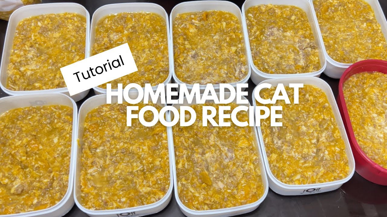 Homemade Cat Food | Ground Beef, Chicken Breast & Squash