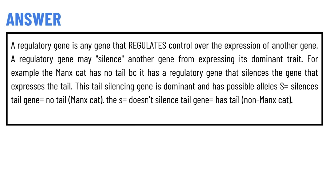 What are regulatory genes?
