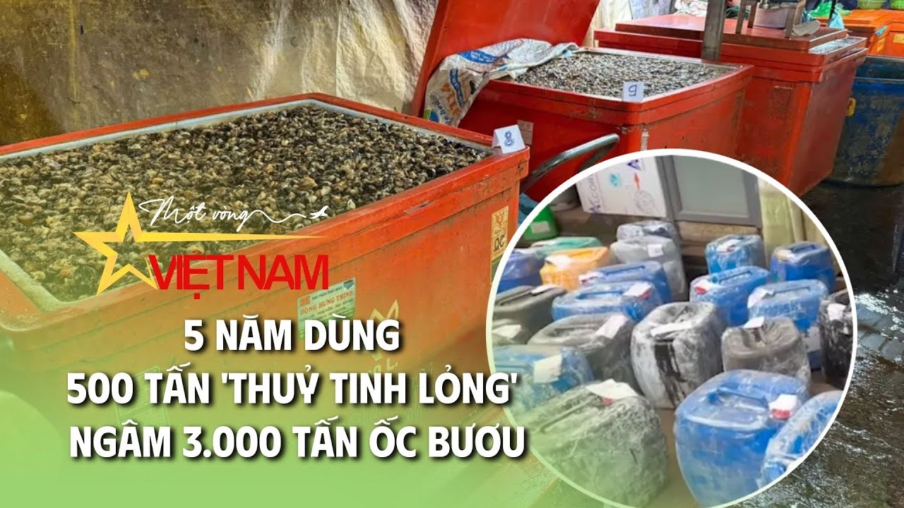 5 năm dùng 500 tấn 'thuỷ tinh lỏng' ngâm 3.000 tấn ốc bươu | Cụm tin | Thời báo VTV
