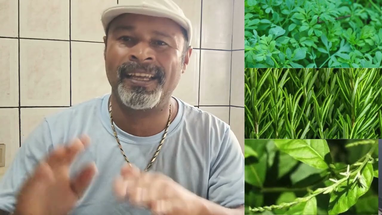 BANHO DE DEFESA, como é bom tomar um banho e se for de ervas melhor ainda.