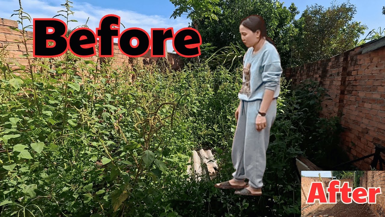 Desire-Inducing Garden Revamp: Serene Yard Makeover