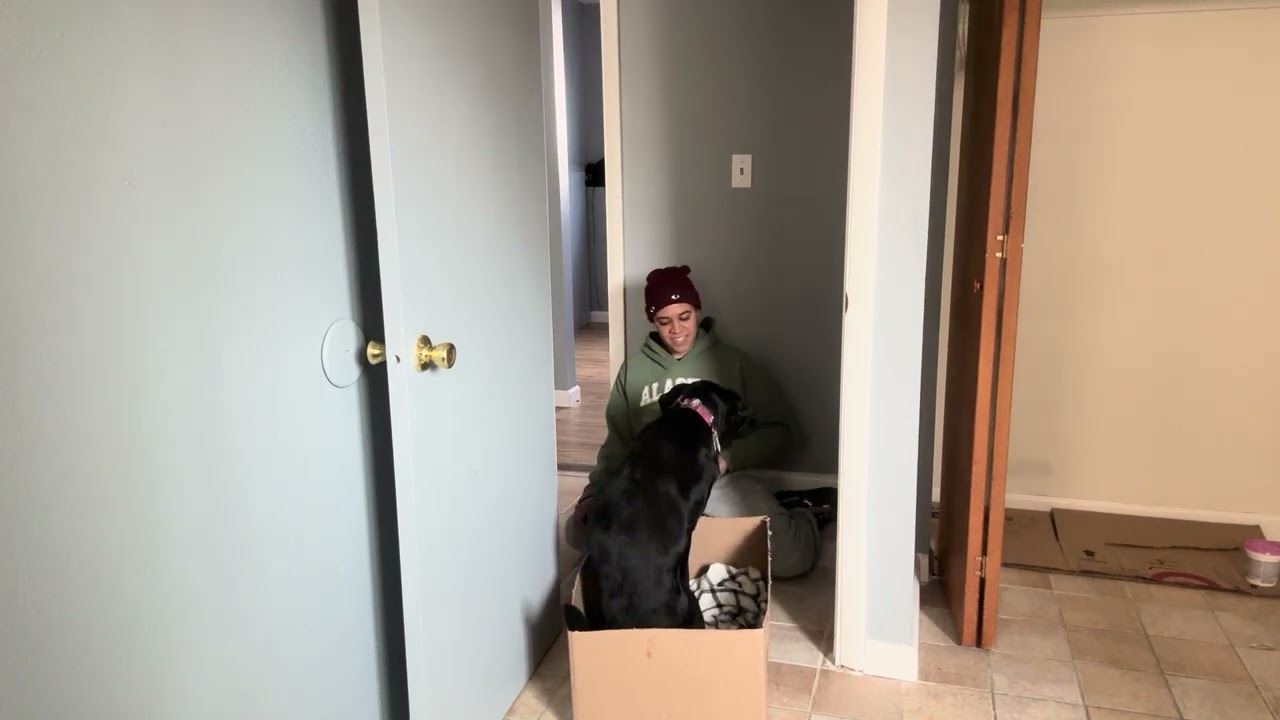 4.2 get in a box, lie down (1st session) 