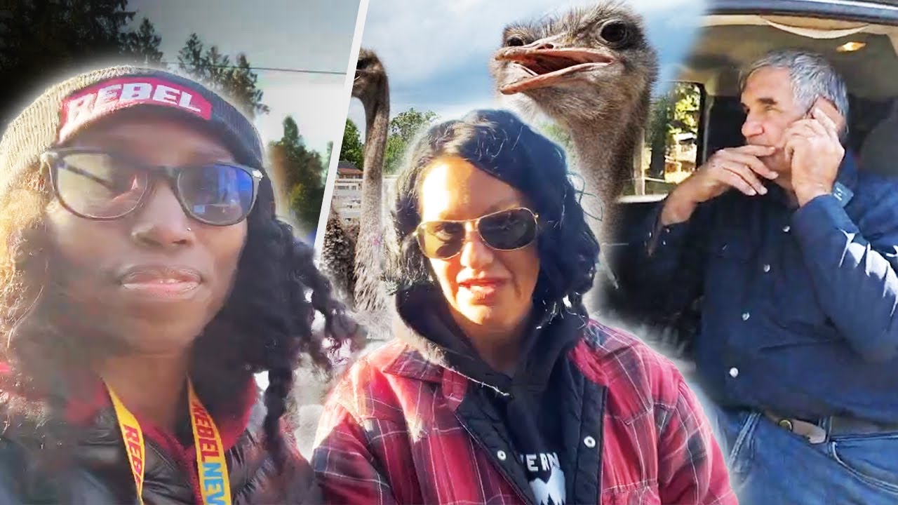 DAY 2: Tensions rise as RCMP prep for ostrich cull