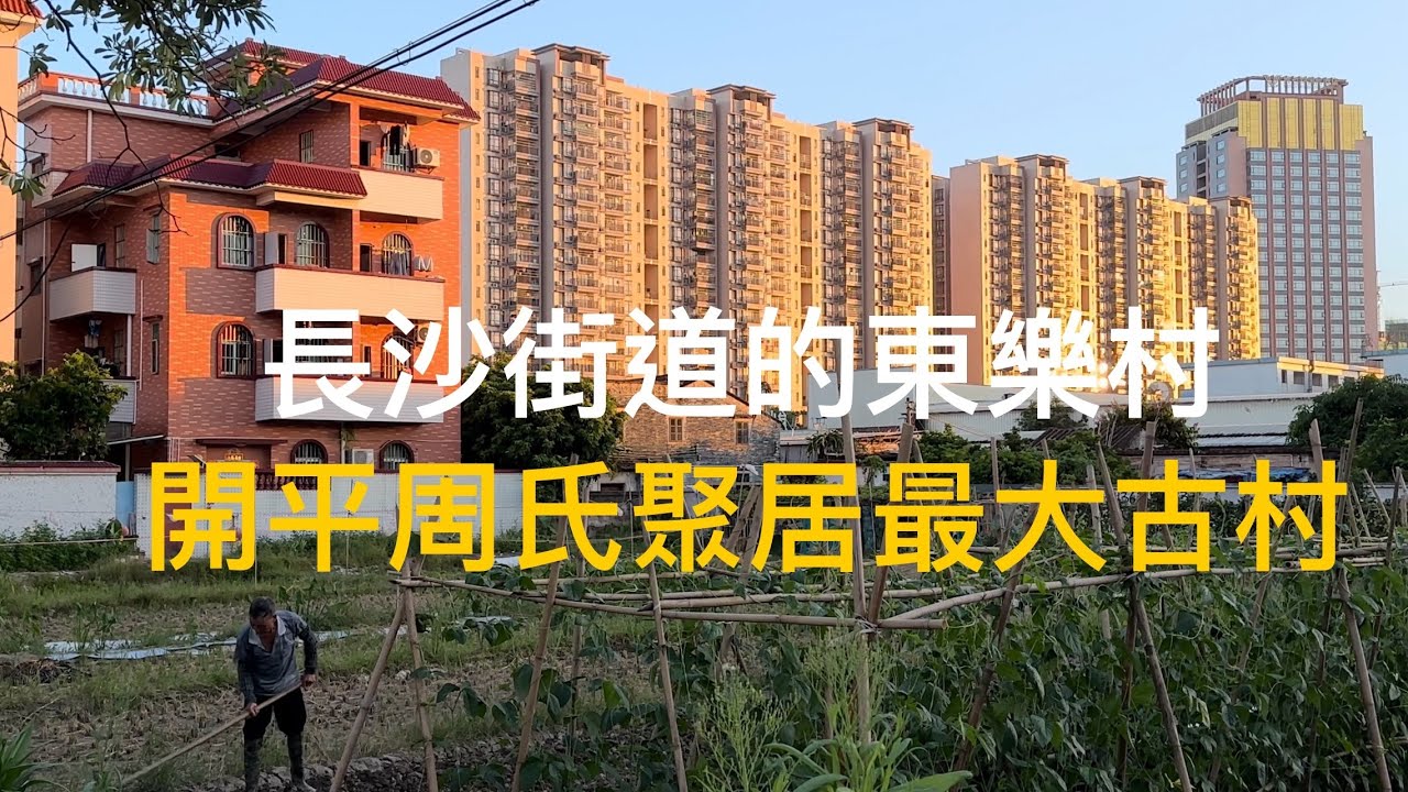 廣東開平Kaiping 長沙街道的東樂村，是開平市周氏聚居最大的古村庄。