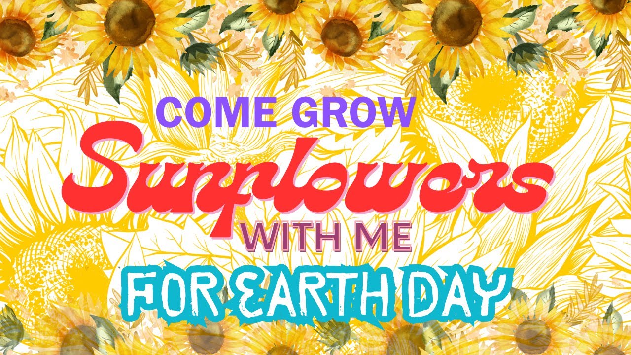 Grow Sunflowers 🌻 With Me 