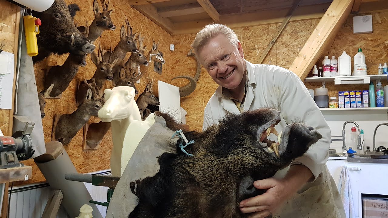 Entrez dans le quotidien d'un taxidermiste normand