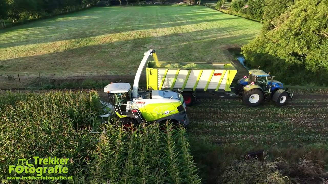 Maïsoogst 2025 | Lolkema | Chopping Corn | Mais Häckseln | New Holland | Kaweco | Volvo