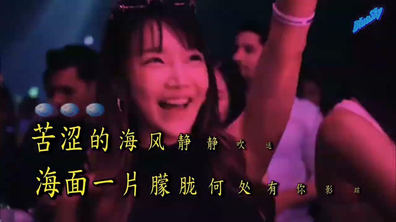 惜别的海岸 DJ