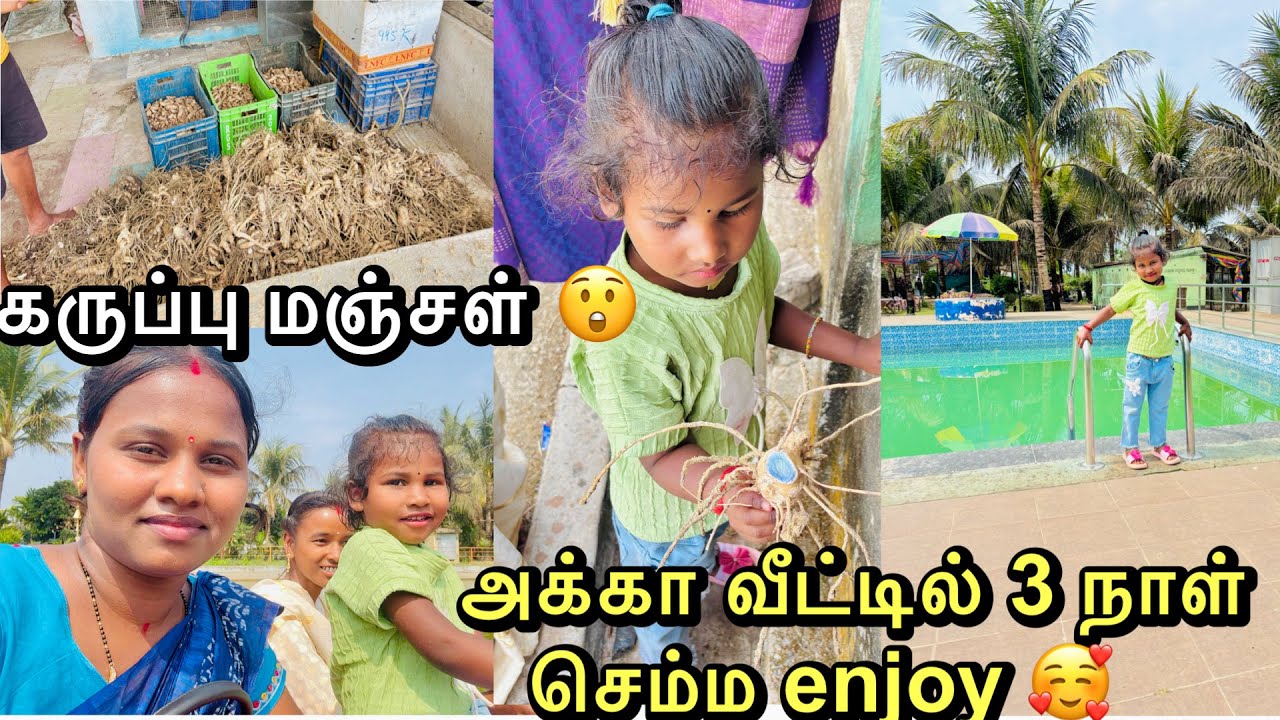 அக்கா வீட்டில் இருந்த 3 நாள் பார்க்-க்கு போனோம், பீரோ வங்கியது ,பார்க்-கில் கருப்பு மஞ்சள் பாருங்க.