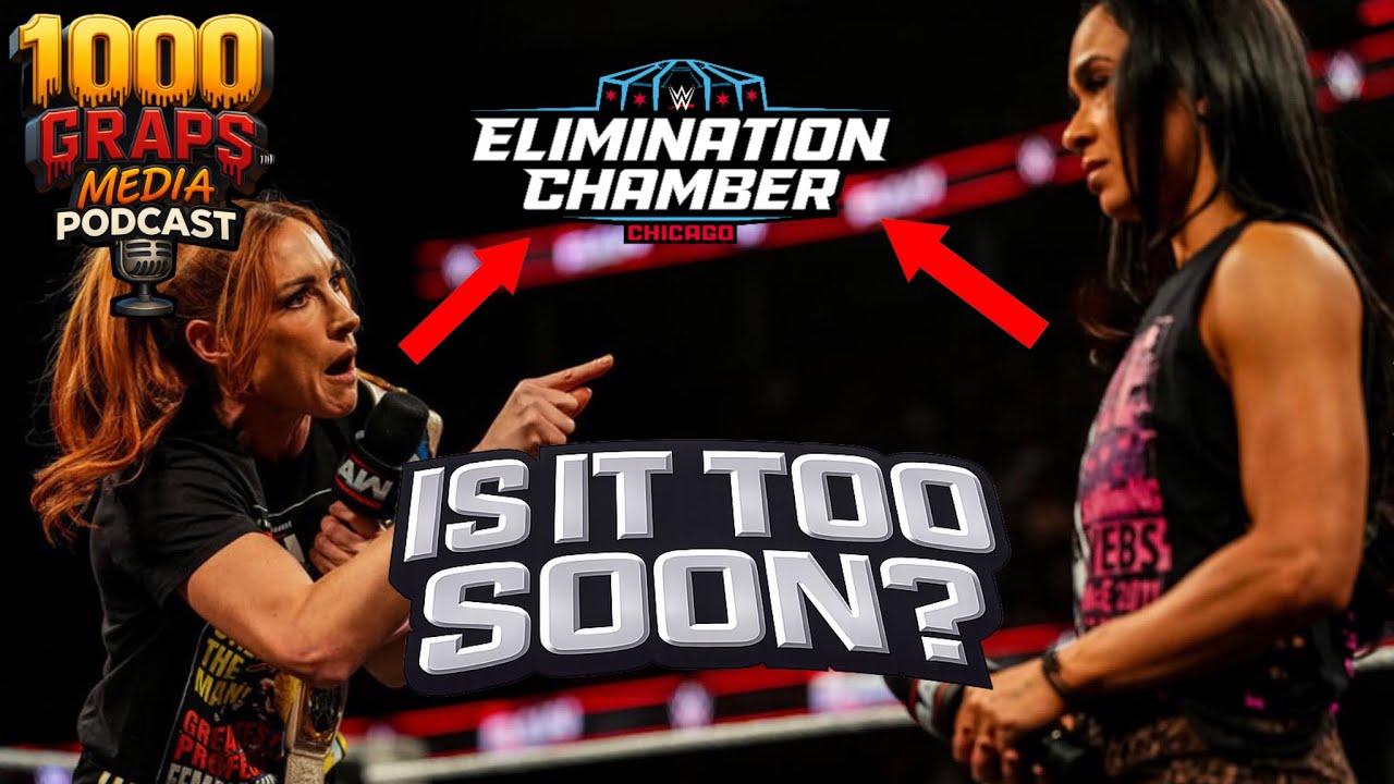 BECKY LYNCH VS AJ LEE TOO SOON ? / RAW RECAP