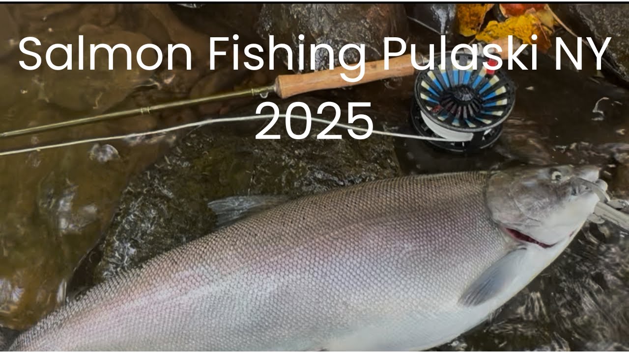 Salmon River Pulaski NY 2025