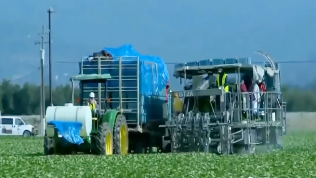 Amazing Mega Machines | Amazing Modern Agriculture Equipment | Modern Mega Agriculture Heavy Machine