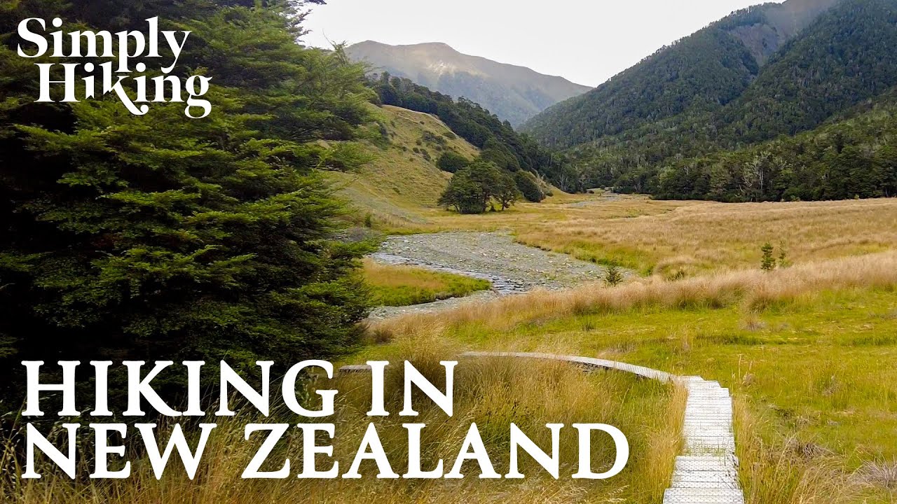 4K Virtual Hike NZ: Scenic Mountain Trails for Relaxation | New Zealand Nature Walk
