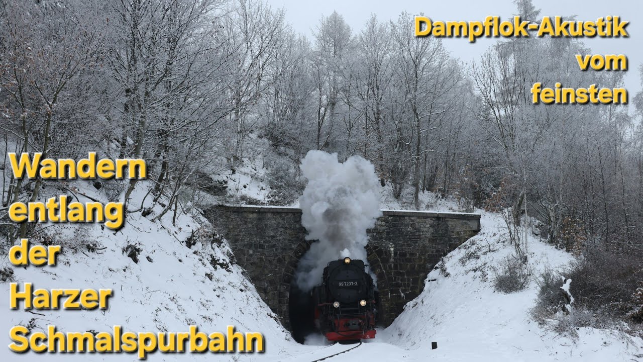 Wanderung entlang der Harzer Schmalspurbahn - Dampflok im Winterwonderland