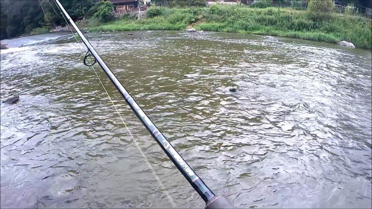 Test - Savage Gear Bleak Real Tail 8 cm