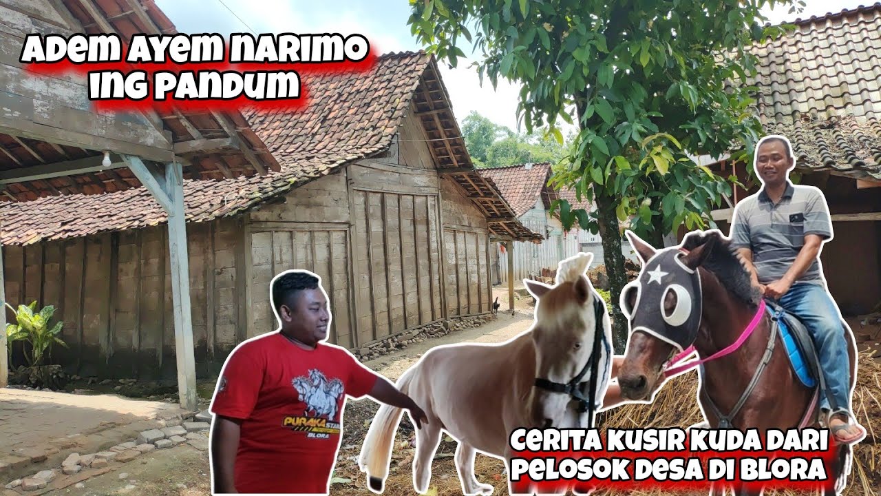 Wong Ndeso Rejeki Kuto Realita Hidup Kusir Kuda Modal 35 Juta Perbulan Dapat 10 Juta Rejeki Nomplok