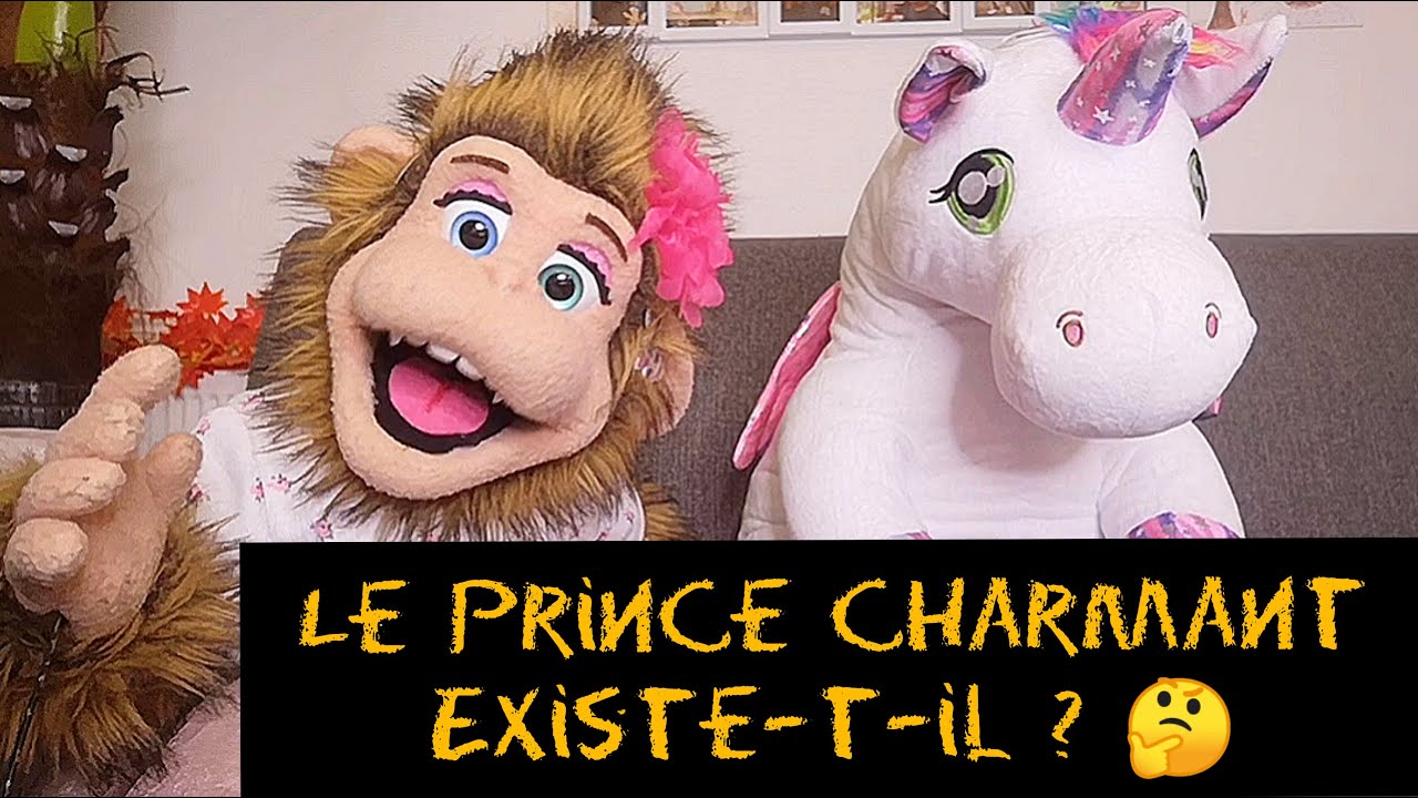 LE PRINCE CHARMANT EXISTE-T-IL ?