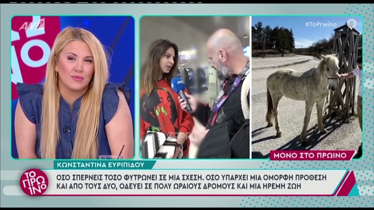 Η Κωνσταντίνα Ευριπίδου για Μιχόπουλο και Οικονομάκου – Λιάγκας: «Έριξε καρφάρες στην Αθηνά»