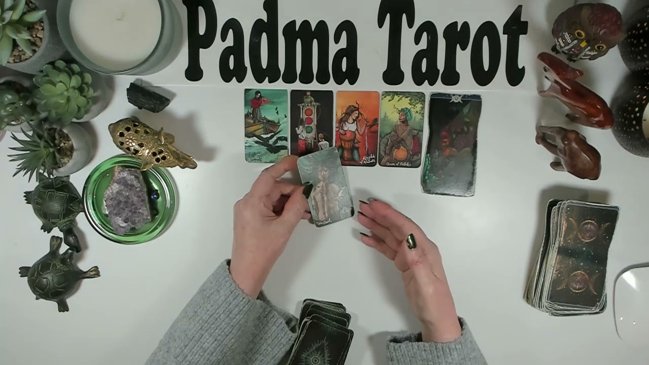 ВЕСЫ♎️ВАШ НОВЫЙ ЭКСПЕРИМЕНТ УДИВЛЯЕТСЯ! Еженедельное гадание на Таро с 23 февраля по 1 марта 💫 🔮