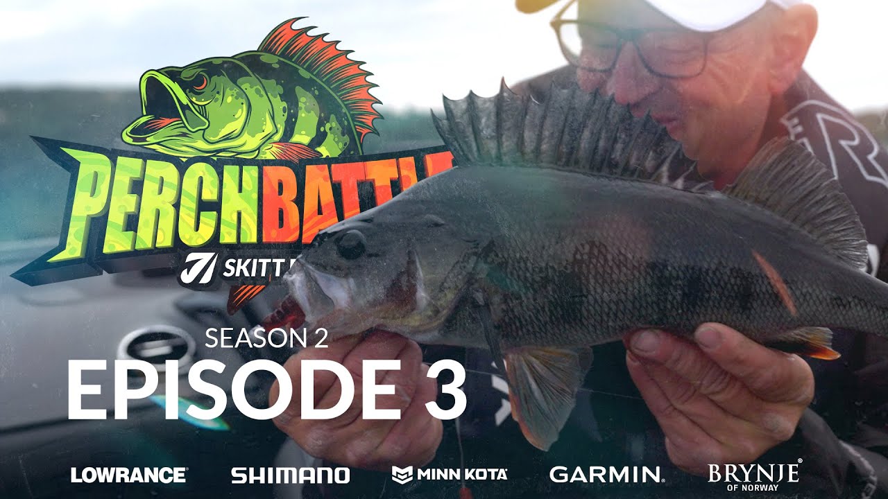 Perch Battle S2 Ep3 - Skitt Fiske