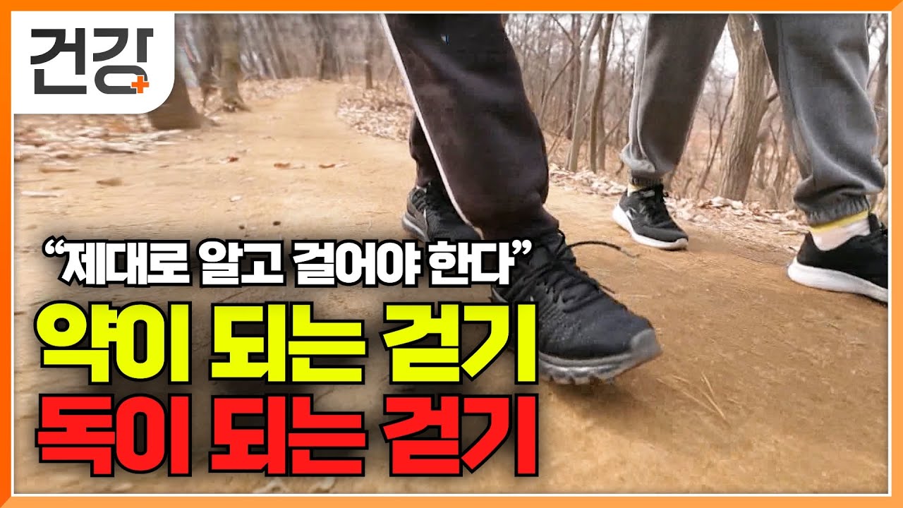 건강에 좋다고 꾸준히 걸었더니 독이 됐다, 내 몸에 약이 되는 걷기 운동 제대로 알기│귀하신 몸│#EBS건강