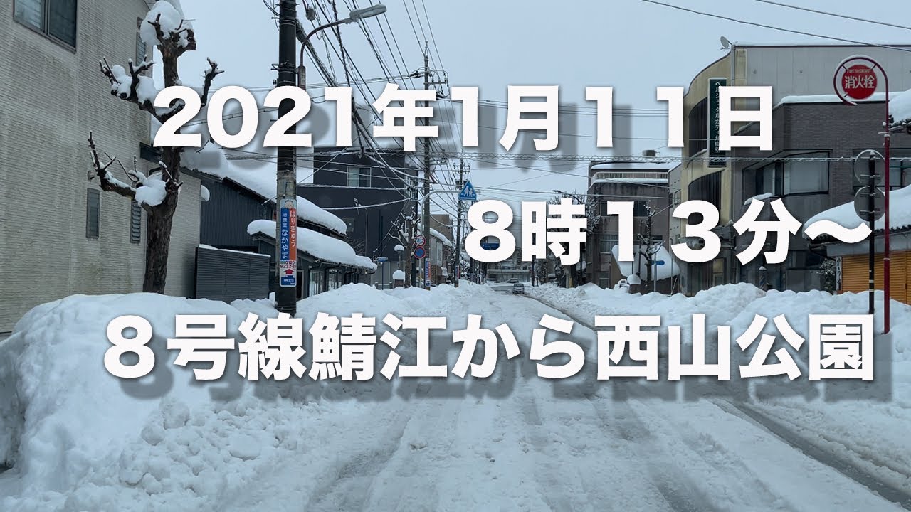 福井県雪速報　2021年1月11日8時13分〜　鯖江８号線から西山公園