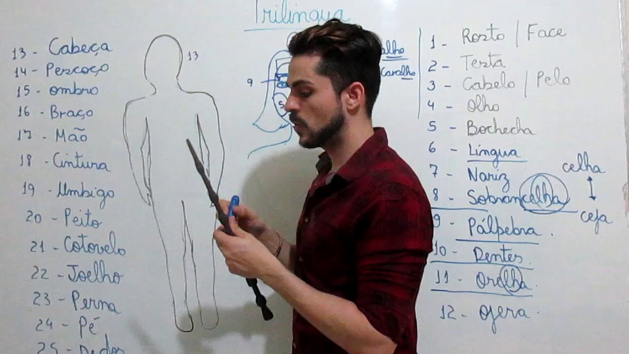 Partes do corpo em Português/ partes del cuerpo em Portugués.