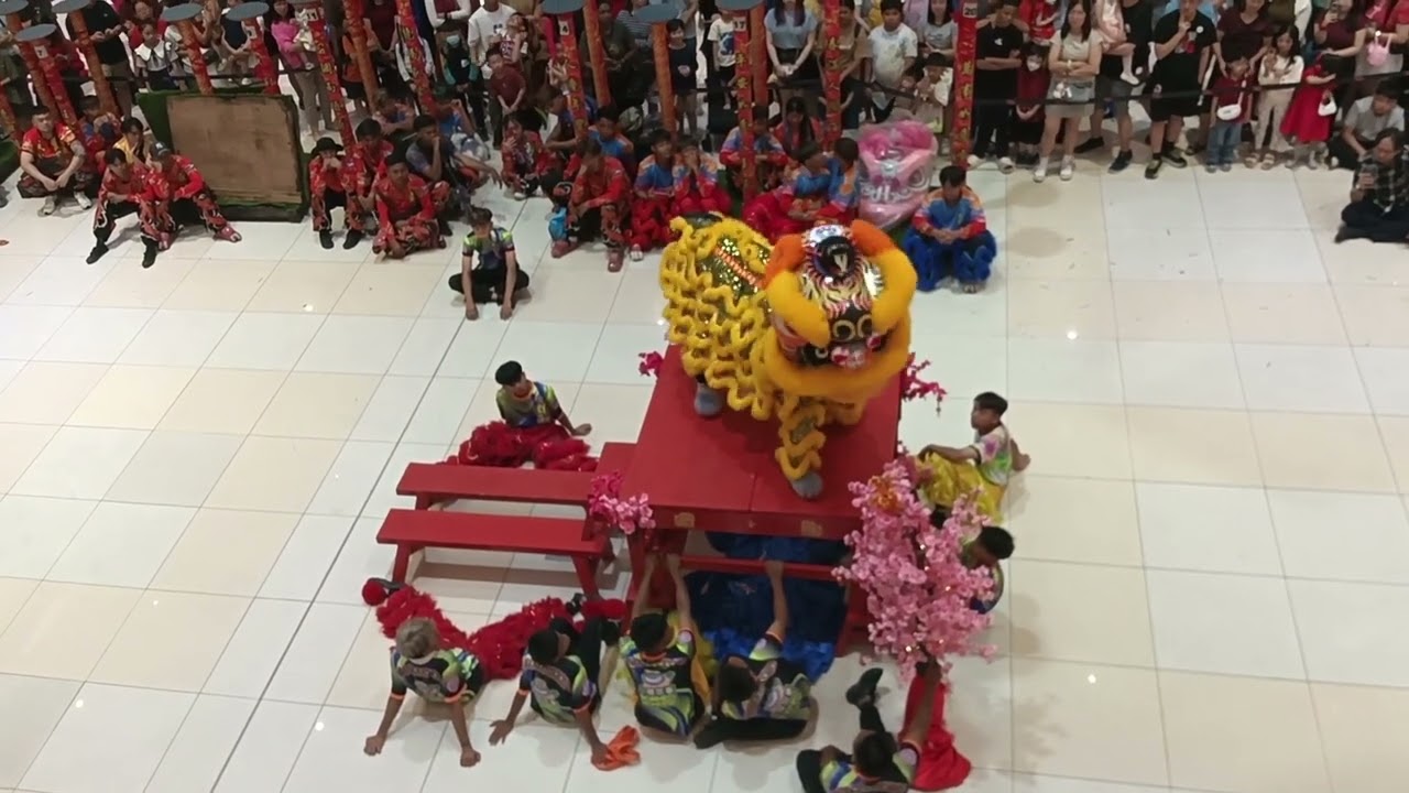 Lion Dance 2026(7)