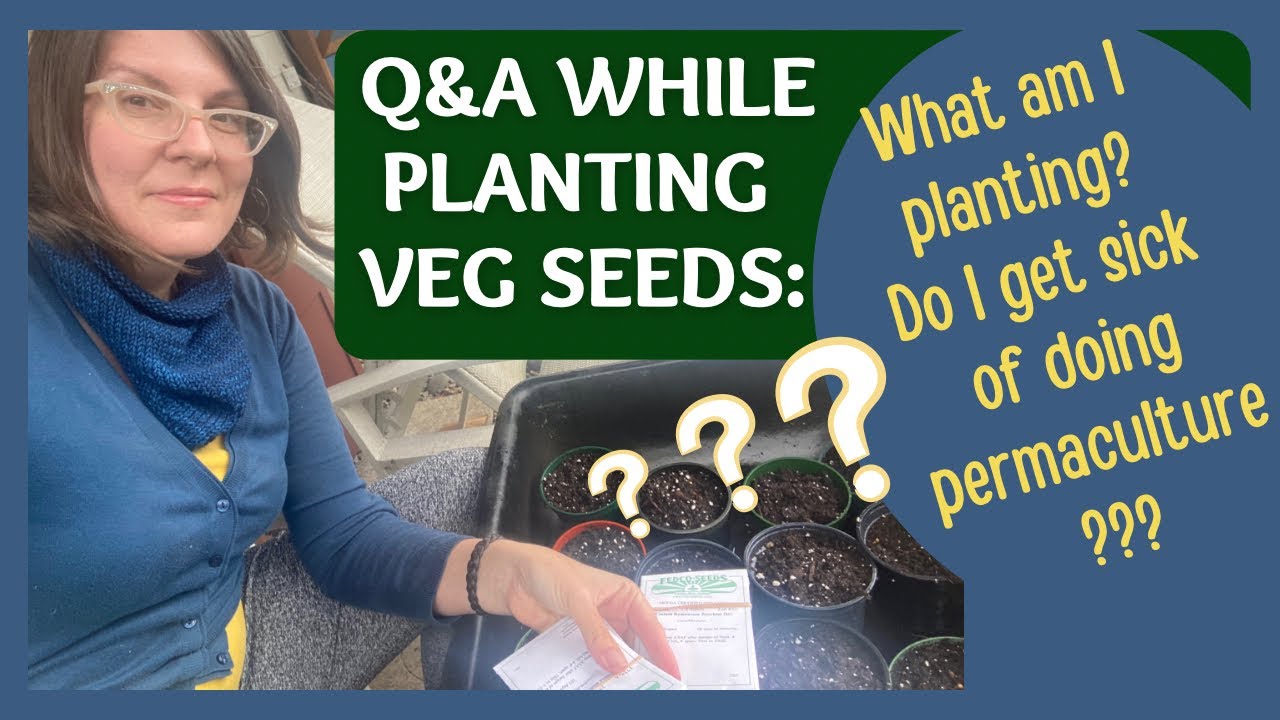 Do I get sick of doing permaculture?  What do my neighbors think? Q&A While Planting Seeds